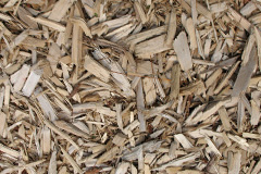 biomass boilers Guyzance